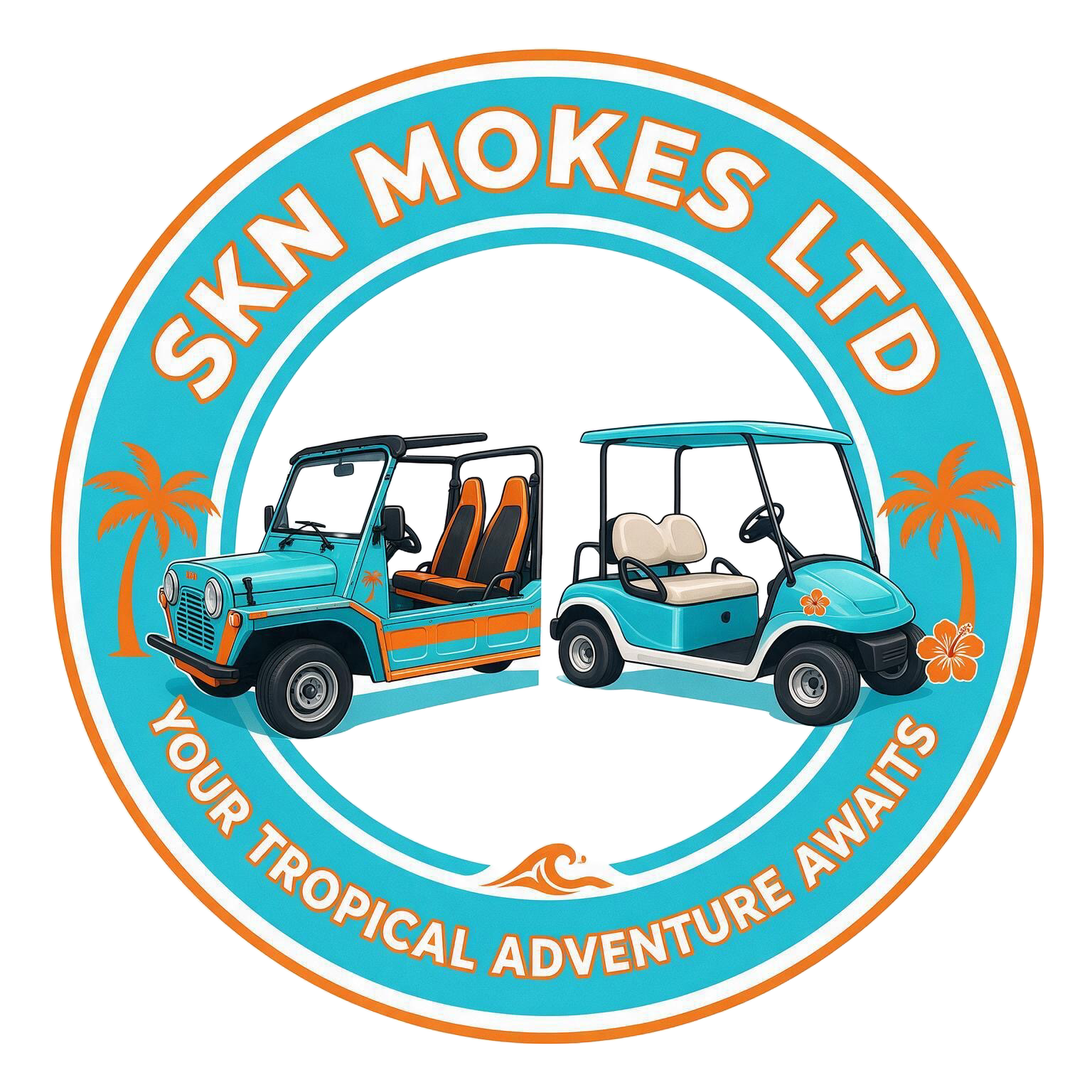 SKN MOKES LTD